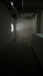 FOOD ASCENT (D22), Factory #523102141